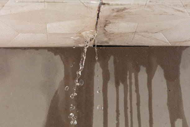 Professional Water Damage Repair technician working in Walnut, CA